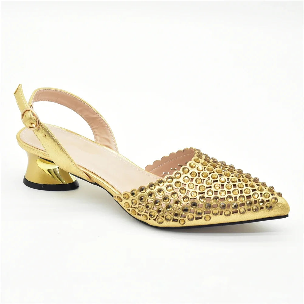 Shoe and Bag Wedding Shoes Bride Ladies Wedding Shoes Luxury Italian Style Heels African Women Party Pumps