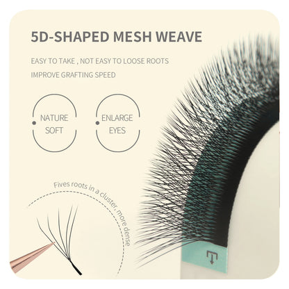 ANNAFRIS 4D 5D-W Shaped Eyelash Extension Premade Volume Fans Lashes 12line/Tray Natural Soft False Lashes